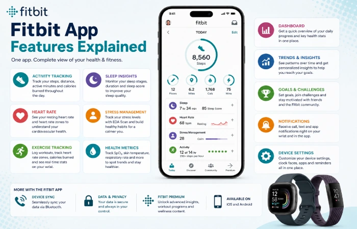 fitbit app features explained