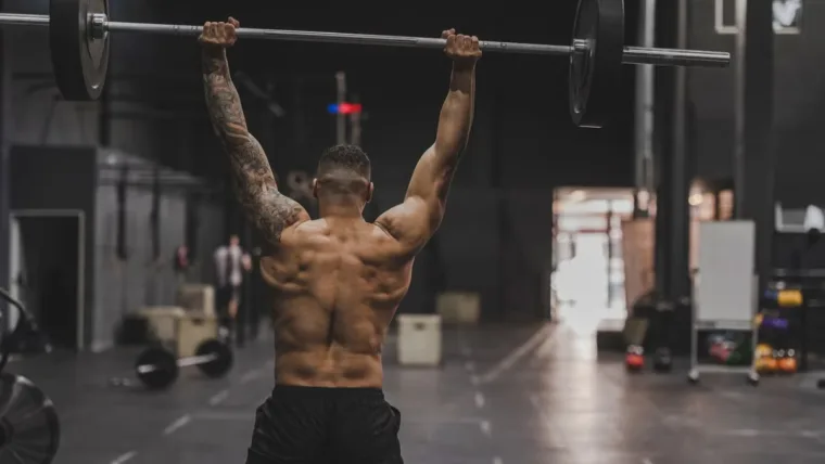 muscle building & progressive overload