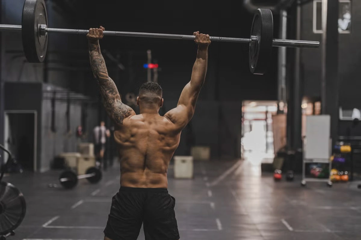 muscle building & progressive overload