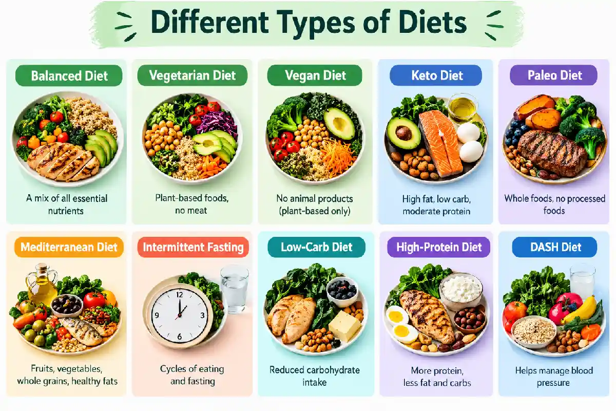 different types of diets