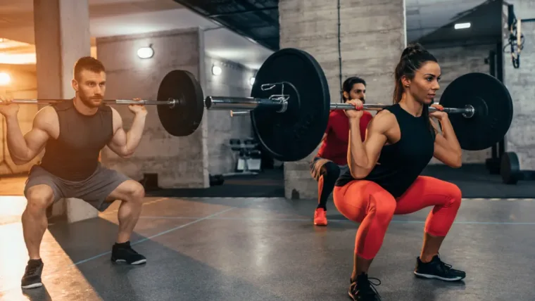 hypertrophy exercises & workout splits