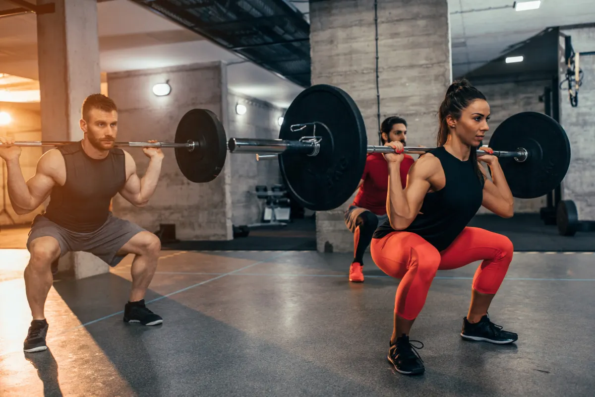 hypertrophy exercises & workout splits