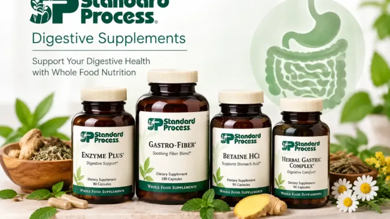 standard process digestive supplements