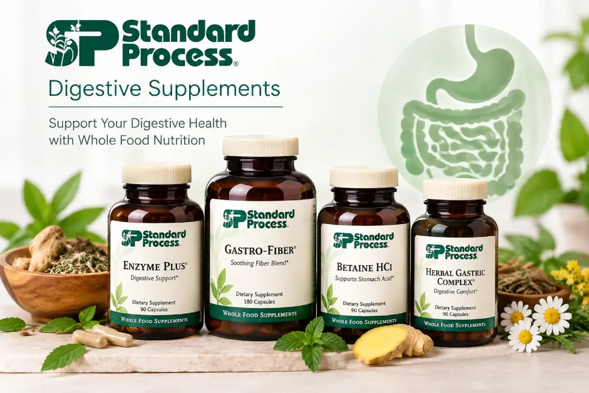 standard process digestive supplements